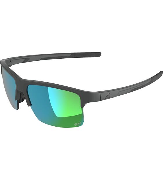 Sunglasses Alpina Eagle Q-Lite