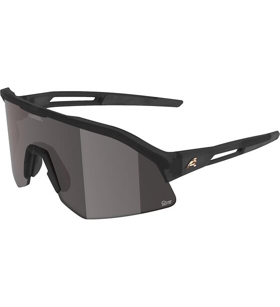 Sunglasses Alpina Sonic HR M Q-Lite