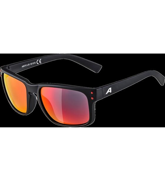 Sunglasses Alpina Kosmic