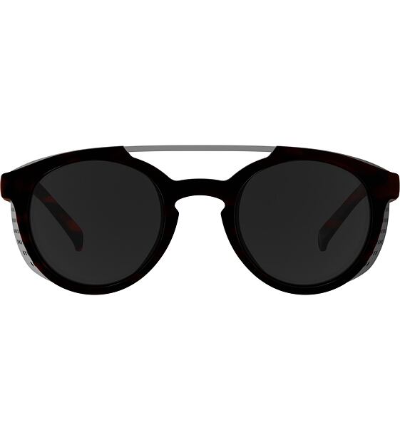 Sunglasses Alpina GLACE