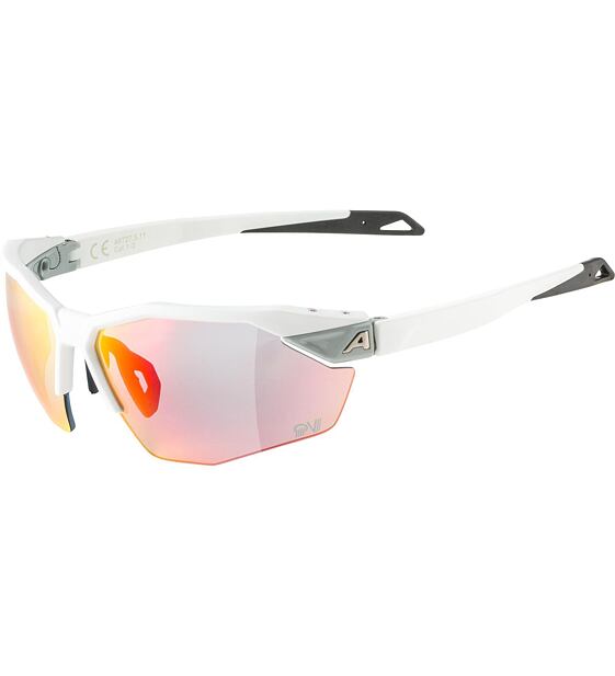 Sunglasses Alpina TWIST SIX S HR QV