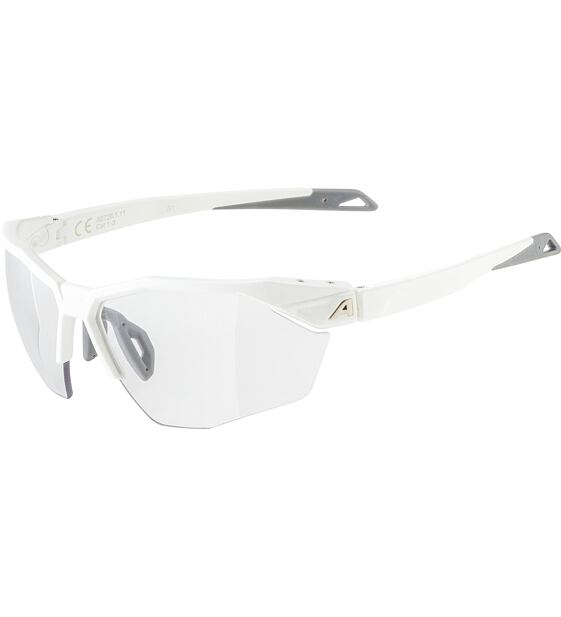 Sunglasses Alpina TWIST SIX S HR V