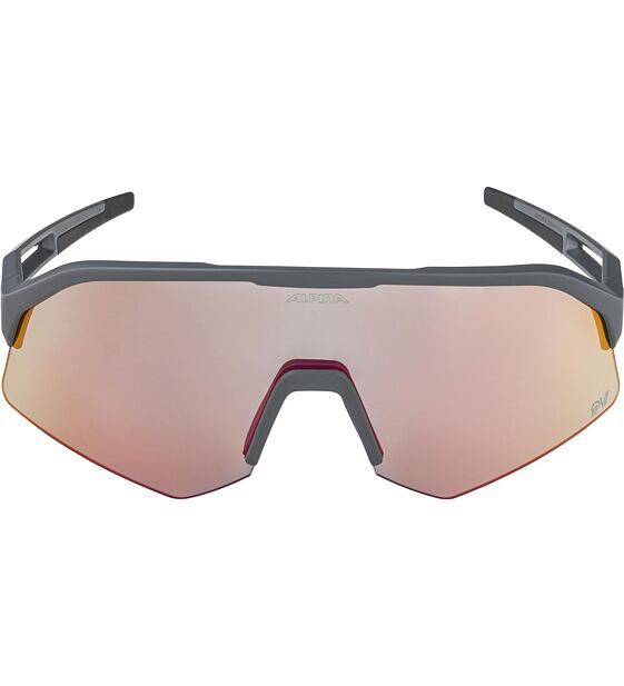 Sunglasses Alpina SONIC HR QV