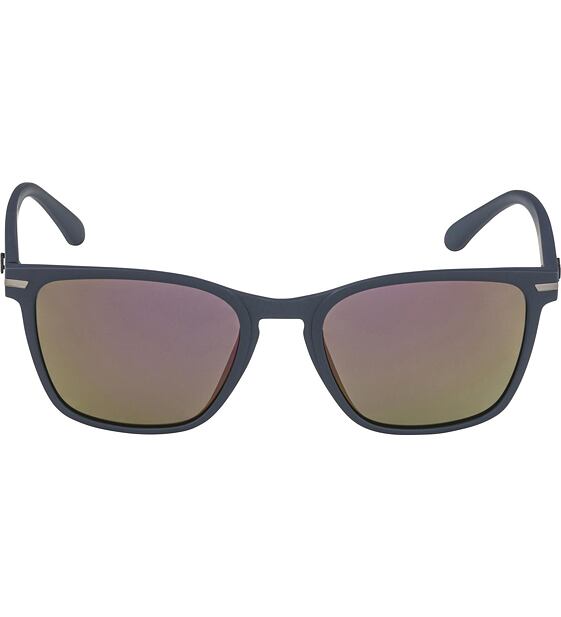 Sunglasses Alpina YEFE POL