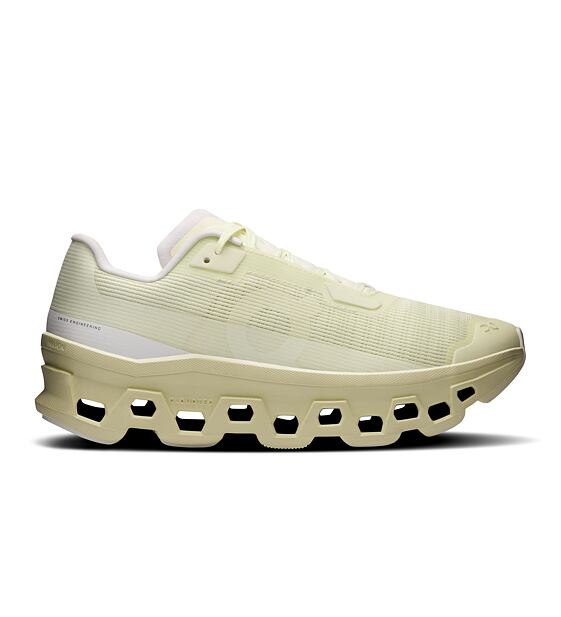 Womens leisure shoes On Cloudmonster Void