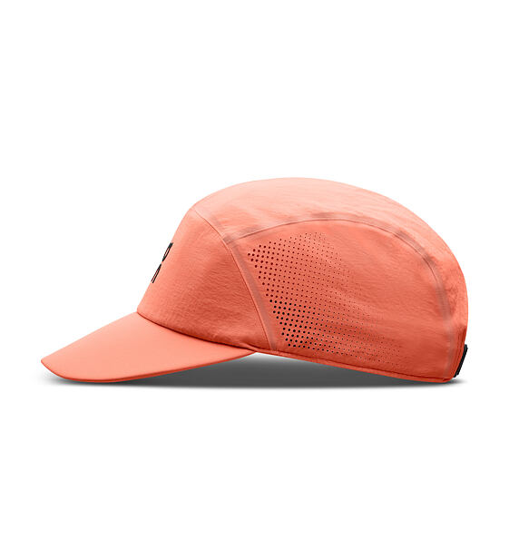 Cap On Performance Cap