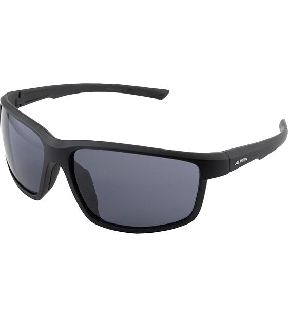 Sunglasses Alpina DEFEY