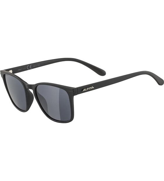Sunglasses Alpina YEFE