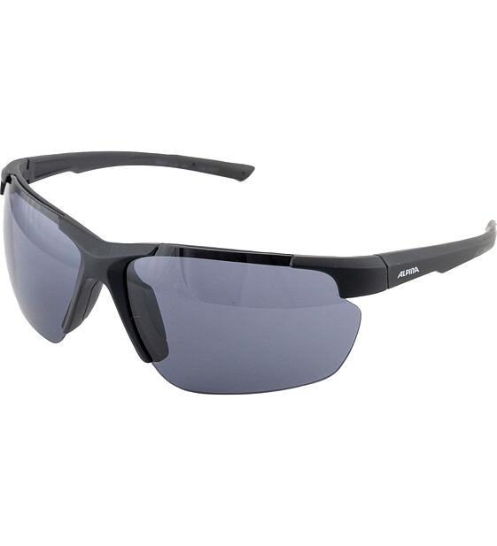 Sunglasses Alpina DEFEY HR