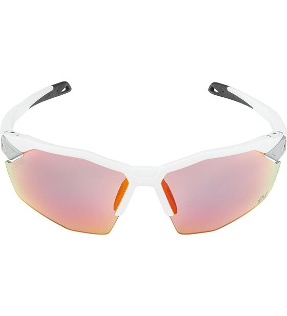 Sunglasses Alpina TWIST SIX S HR QV