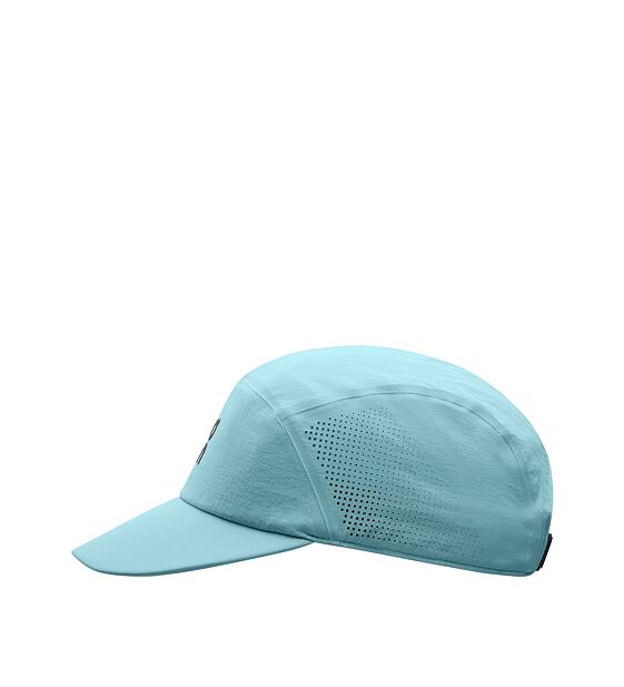 Cap On Performance Cap