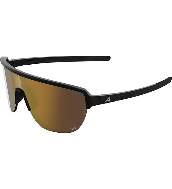 Sunglasses Alpina Ram 2.0 Q-Lite