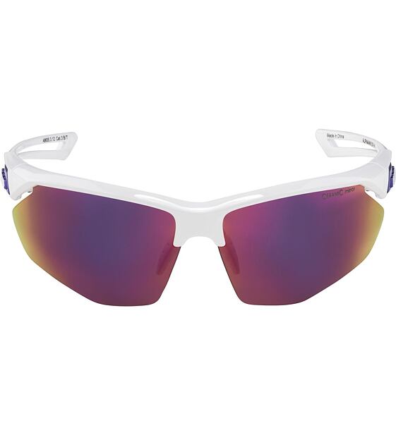 Sunglasses Alpina NYLOS HR