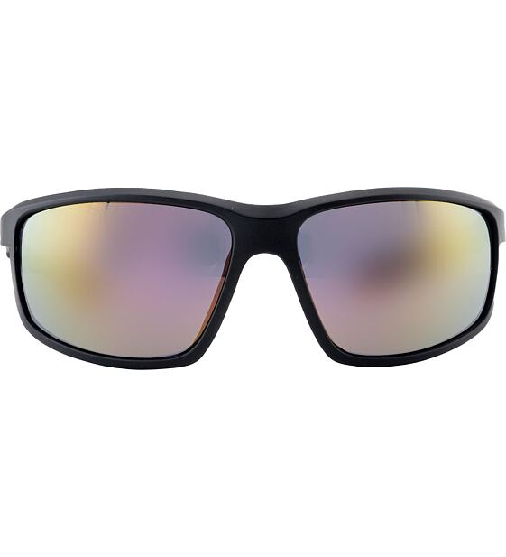 Sunglasses Alpina DEFEY
