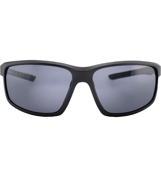 Sunglasses Alpina DEFEY