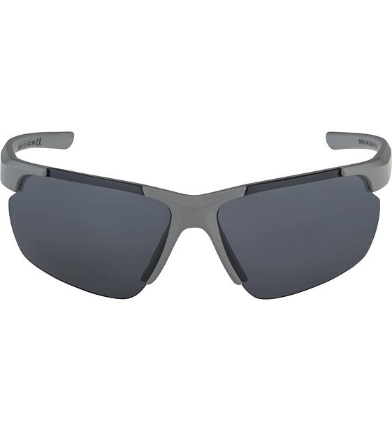 Sunglasses Alpina DEFEY HR