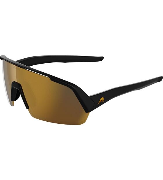 Sunglasses Alpina TURBO HR