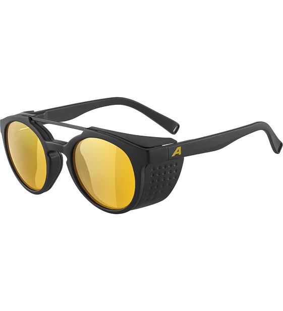 Sunglasses Alpina GLACE POL
