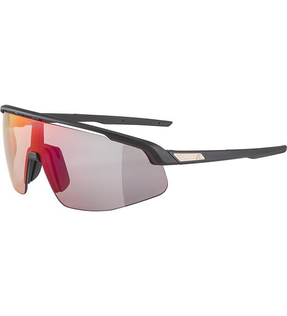 Sunglasses Alpina Turbo Pro QV