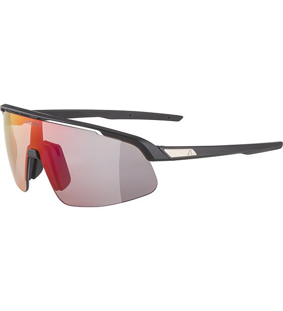 Sunglasses Alpina TURBO PRO S QV