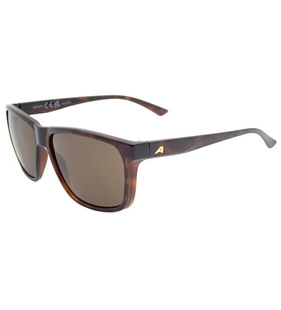 Sunglasses Alpina RAYONNE