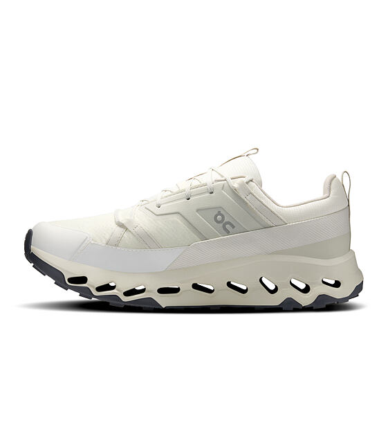 Mens Outdoor Shoes On Cloudhorizon WP