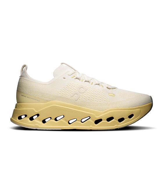 Mens Road Running Shoes On Cloudsurfer Max