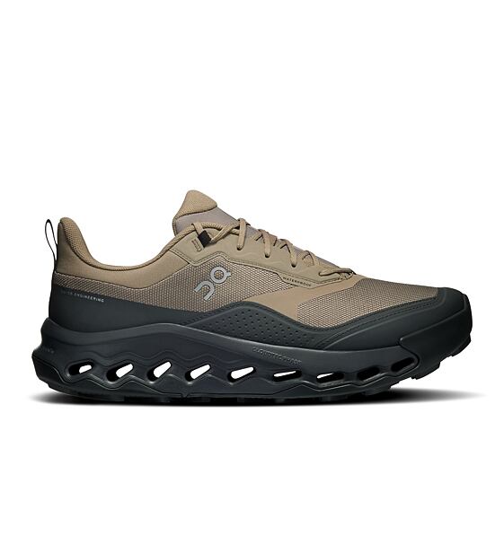 Mens Outdoor Shoes On Cloudhorizon 2 Waterproof