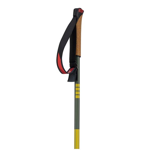 Cross-country poles Swix Infinity Sonic Alu pole