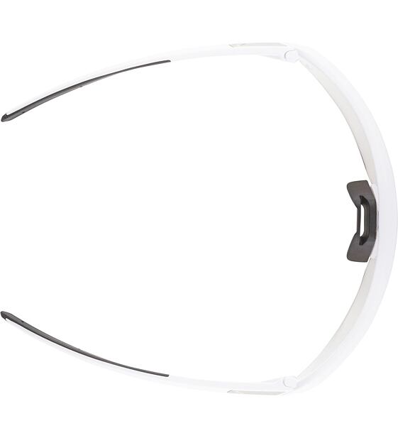 Sunglasses Alpina TURBO PRO S V