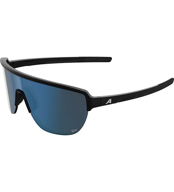 Sunglasses Alpina Ram 2.0 Q-Lite