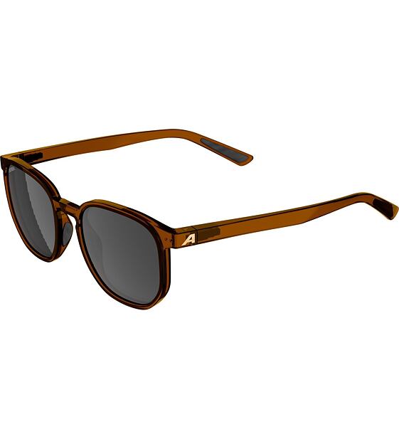 Sunglasses Alpina DIMONT