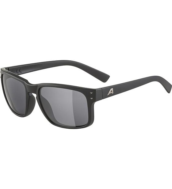Sunglasses Alpina KOSMIC
