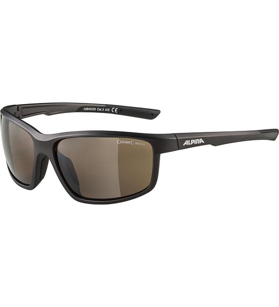 Sunglasses Alpina DEFEY