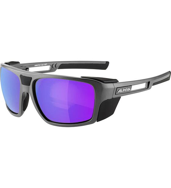 Sunglasses Alpina SKYWALSH