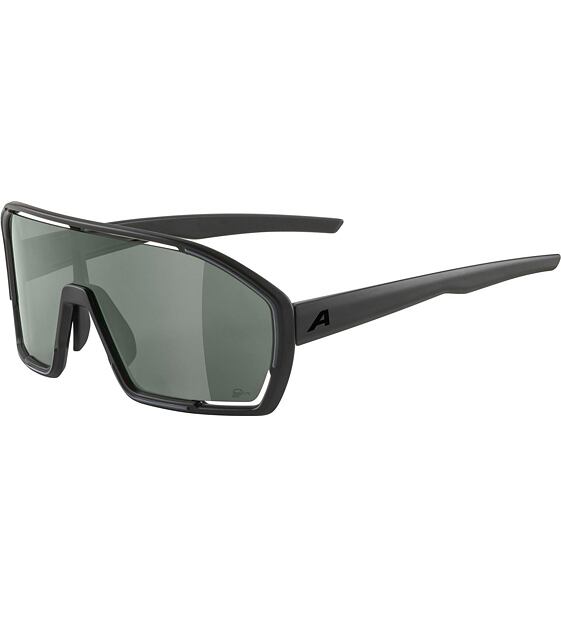 Sunglasses Alpina Bonfire Q-Lite