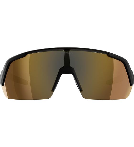 Sunglasses Alpina TURBO HR