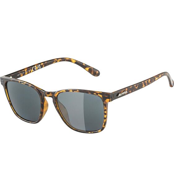 Sunglasses Alpina YEFE POL