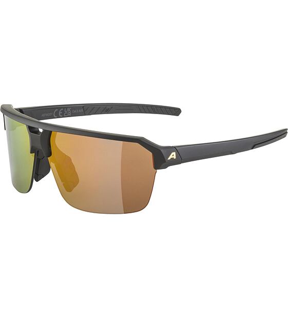 Sunglasses Alpina SWIFT HR