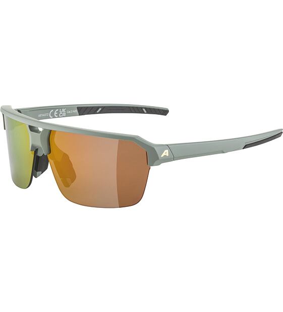 Sunglasses Alpina SWIFT HR