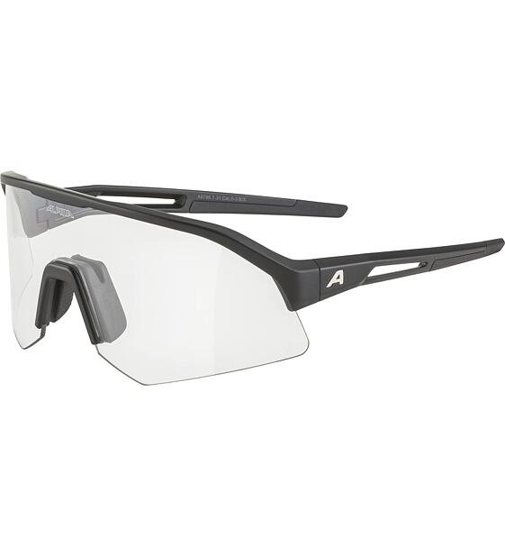 Sunglasses Alpina SONIC HR V