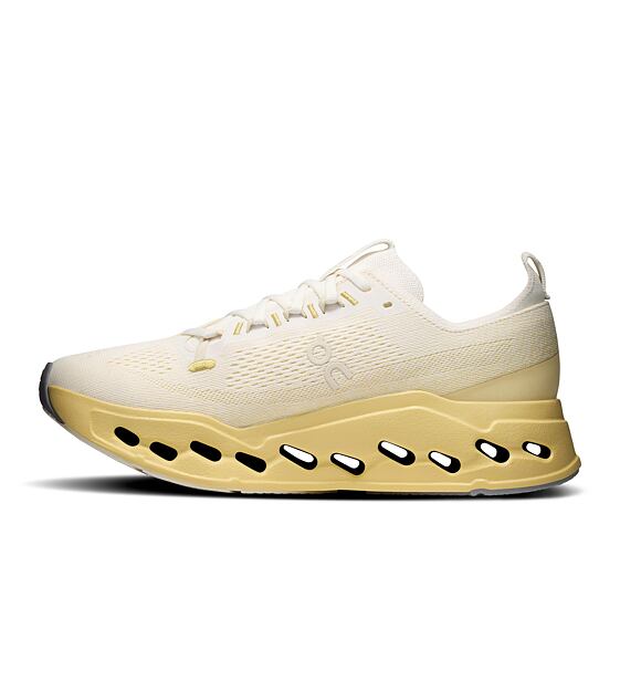 Mens Road Running Shoes On Cloudsurfer Max