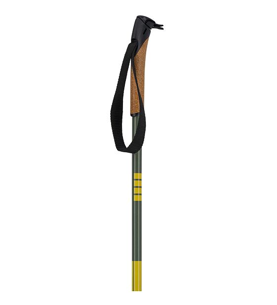 Cross-country poles Swix Infinity Basic Alu pole