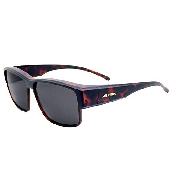 Sunglasses Alpina CONCEAL P
