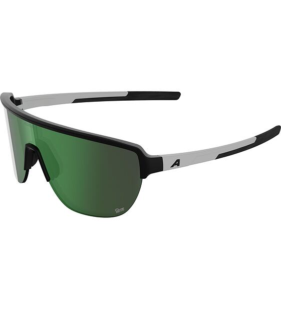 Sunglasses Alpina Ram 2.0 Q-Lite