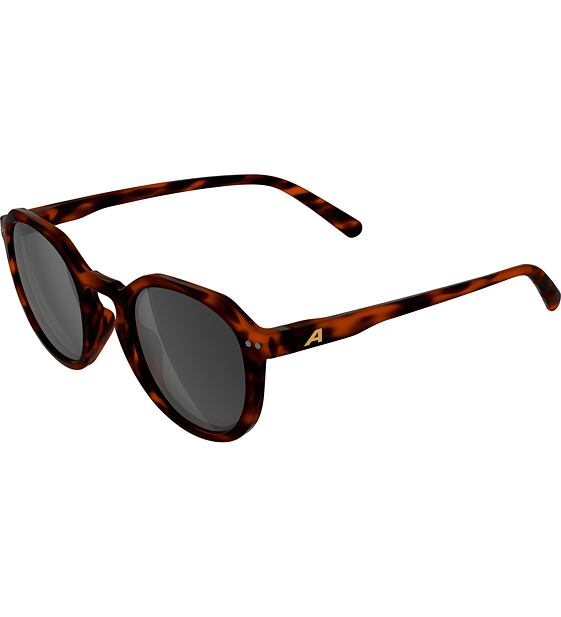 Sunglasses Alpina Sneek 2.0