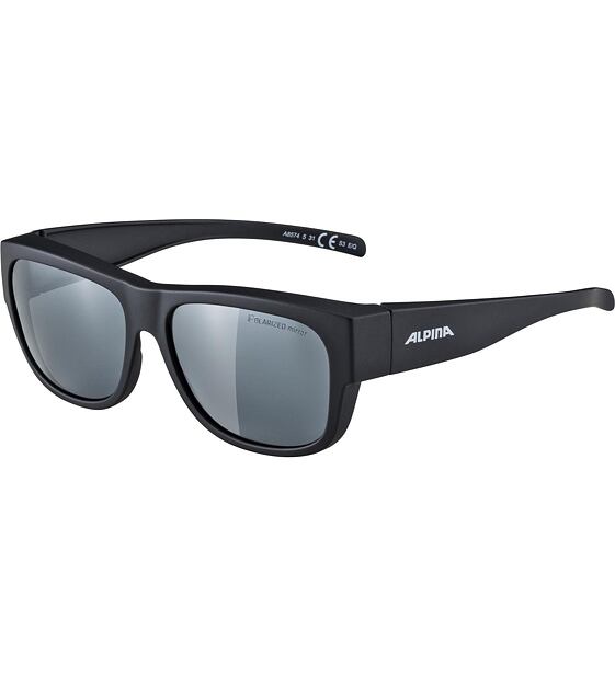 Sunglasses Alpina OVERVIEW II P