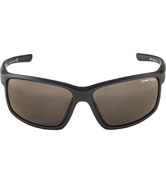 Sunglasses Alpina DEFEY