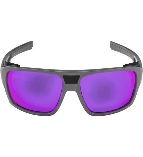 Sunglasses Alpina SKYWALSH