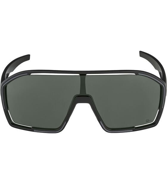 Sunglasses Alpina Bonfire Q-Lite